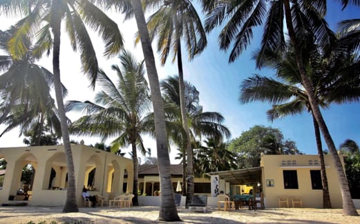 Het beach house tussen de palmen