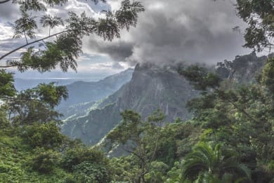 Groene bergruggen van de Usambara-bergen